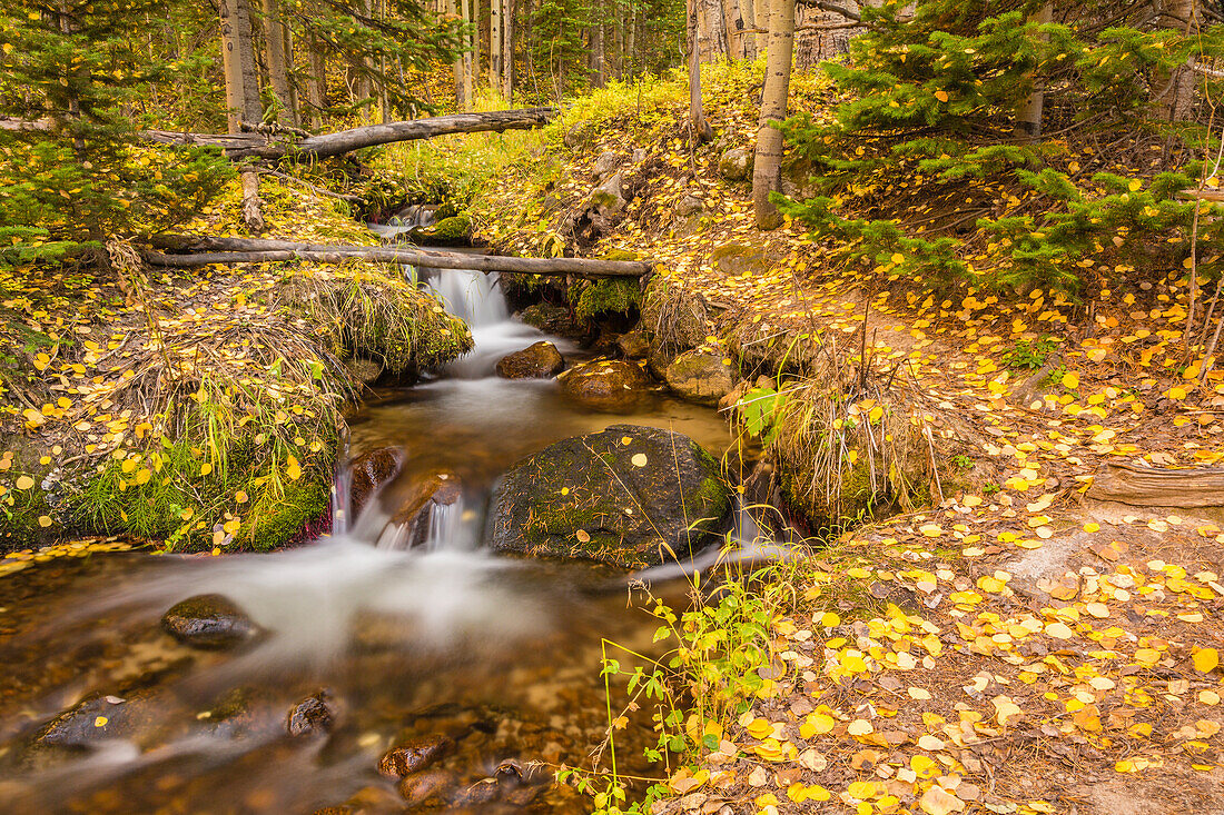 USA, Colorado, Rocky Mountain National Park. Waterfall in forest scenic