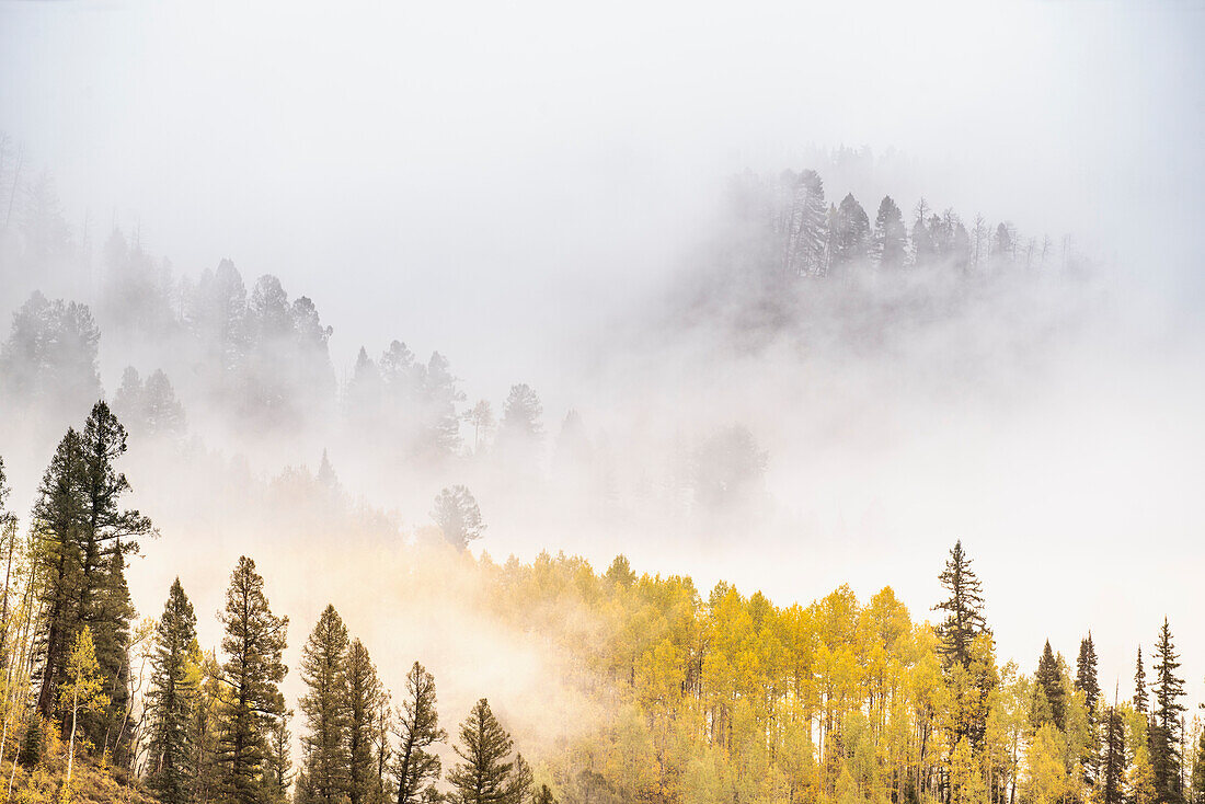 USA, Colorado, San Juan Mountains. Fog across mountainside in autumn