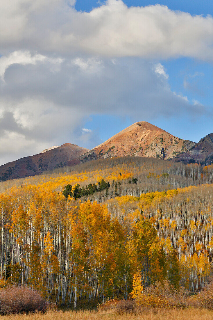 Autumn Keebler Pass, Colorado, last evening light on mountain range and aspens in fall color