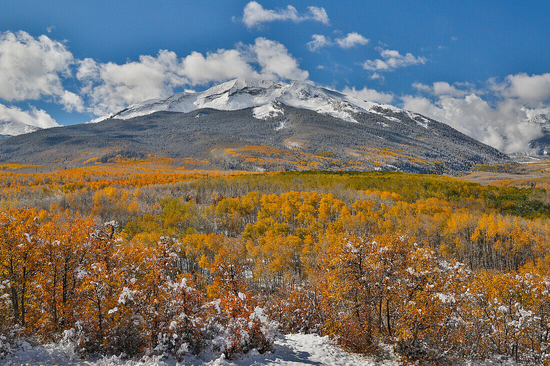 Rocky Mountains, Colorado. Fall Colors of Aspens and fresh snow Keebler Pass