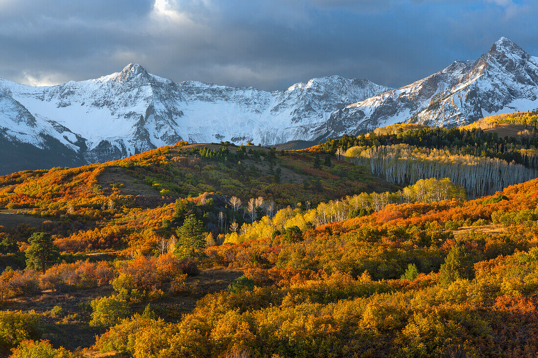 USA, Colorado. San Juan Mountains, Uncompahgre National Forest, Herbstfarbene Eichen und Espen unter den Gipfeln der Sneffels Range bei Sonnenaufgang.