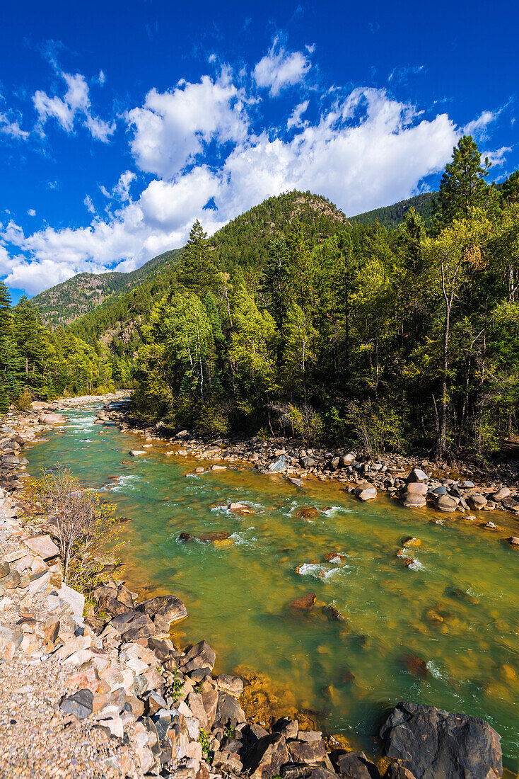 Der Animas River, San Juan National Forest, Colorado, USA