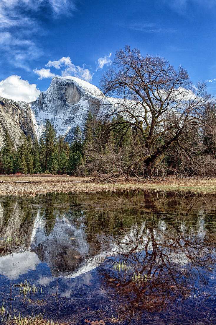 Half Dome with reflections seen from Cooks Meadow. Yosemite National Park, California.