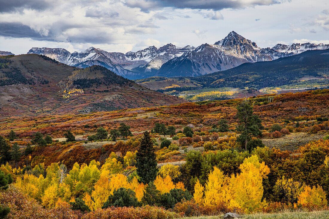 Autumn aspen trees and Sneffels Range, Mount Sneffels Wilderness, Uncompahgre National Forest, Colorado