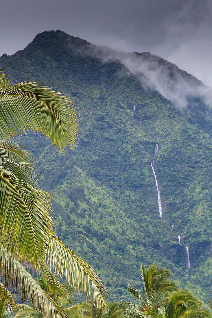 Hanalei Bay, Hawaii, Kauai, Palmen und Wasserfall