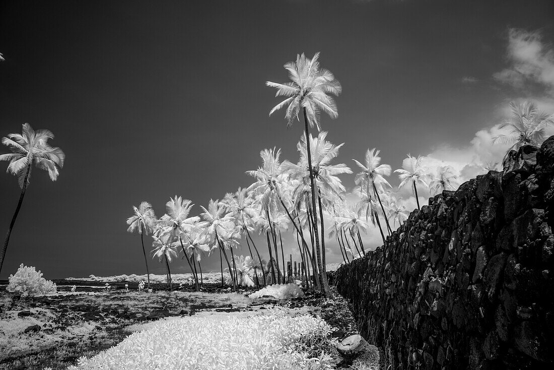 Pu'uhonua o Honaunau, The Big Island, Hawaii, Usa