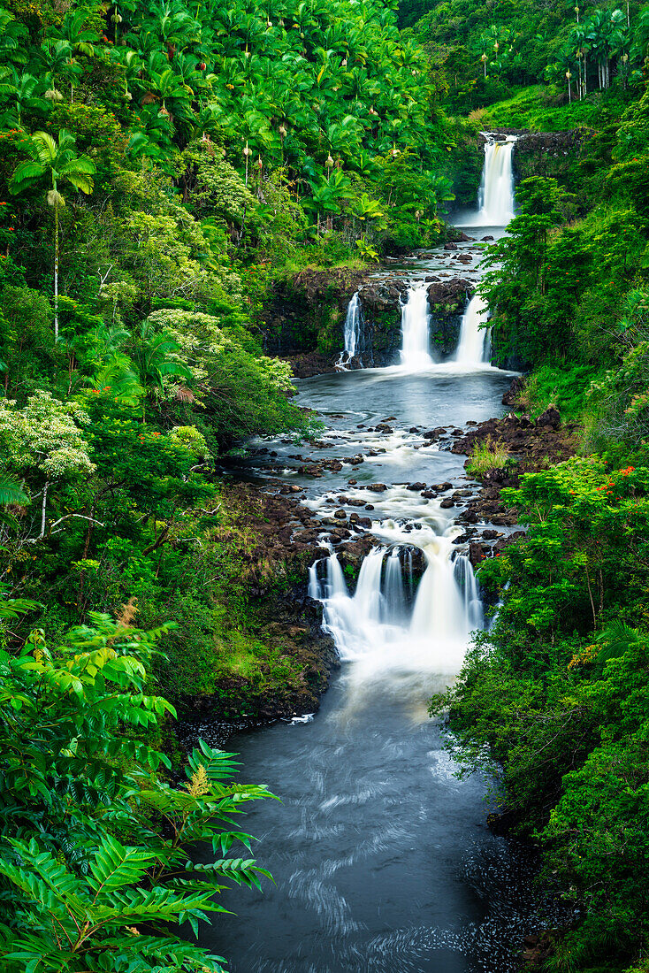 Umauma-Wasserfälle entlang der üppigen Hamakua-Küste, Big Island, Hawaii, USA