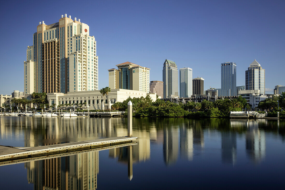 Early morning over the skyline of Tampa, Florida, USA