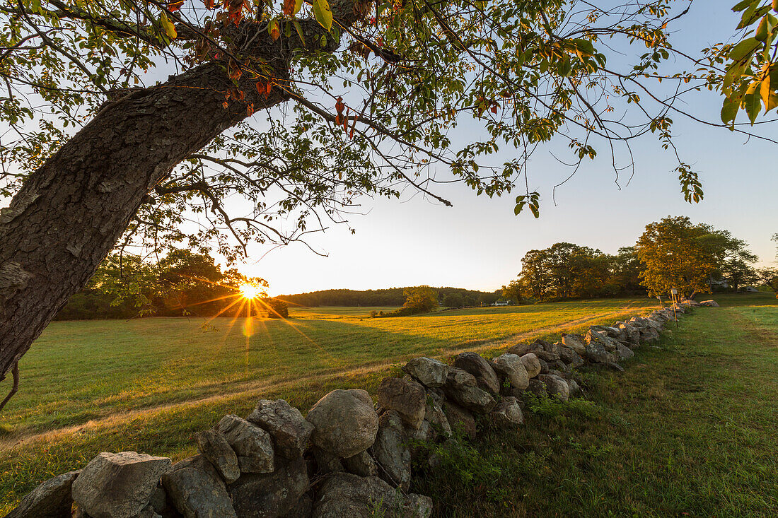 Eine Steinmauer und ein Feld bei Sonnenaufgang in der Cox Reservation in Essex, Massachusetts.