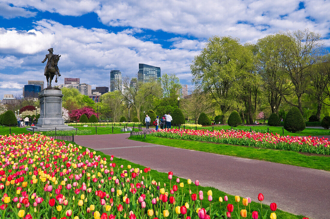 Tulpen und George-Washington-Statue im Boston Public Garden, Boston, Massachusetts, USA
