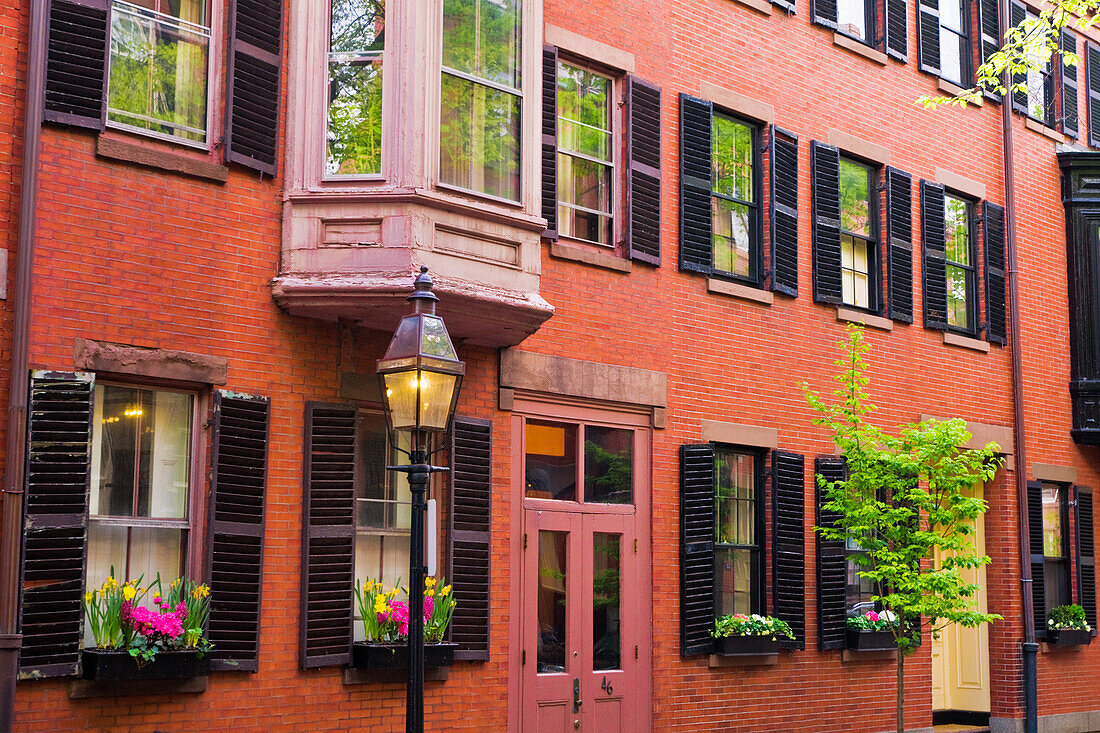 Backsteinhäuser und Gaslaternen auf dem Beacon Hill, Boston, Massachusetts, USA