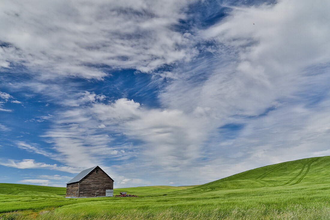 Wooden barn in wheat field just north of Genesee, Idaho