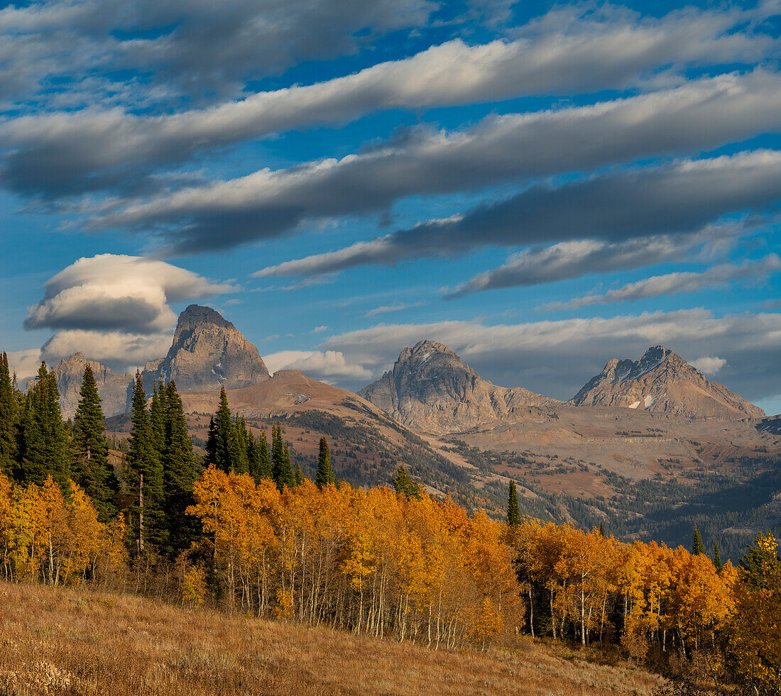 Streifige Cirrus- und Kumuluswolken ergänzen Goldespen mit Grand und Middle Teton und Mount Owen, Teton Valley, nahe Jackson, Wyoming und Driggs, Idaho