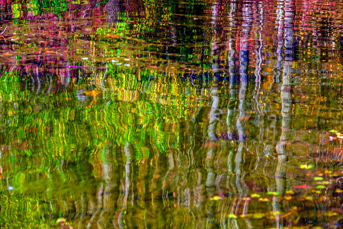 Colorful abstract reflection in lake water