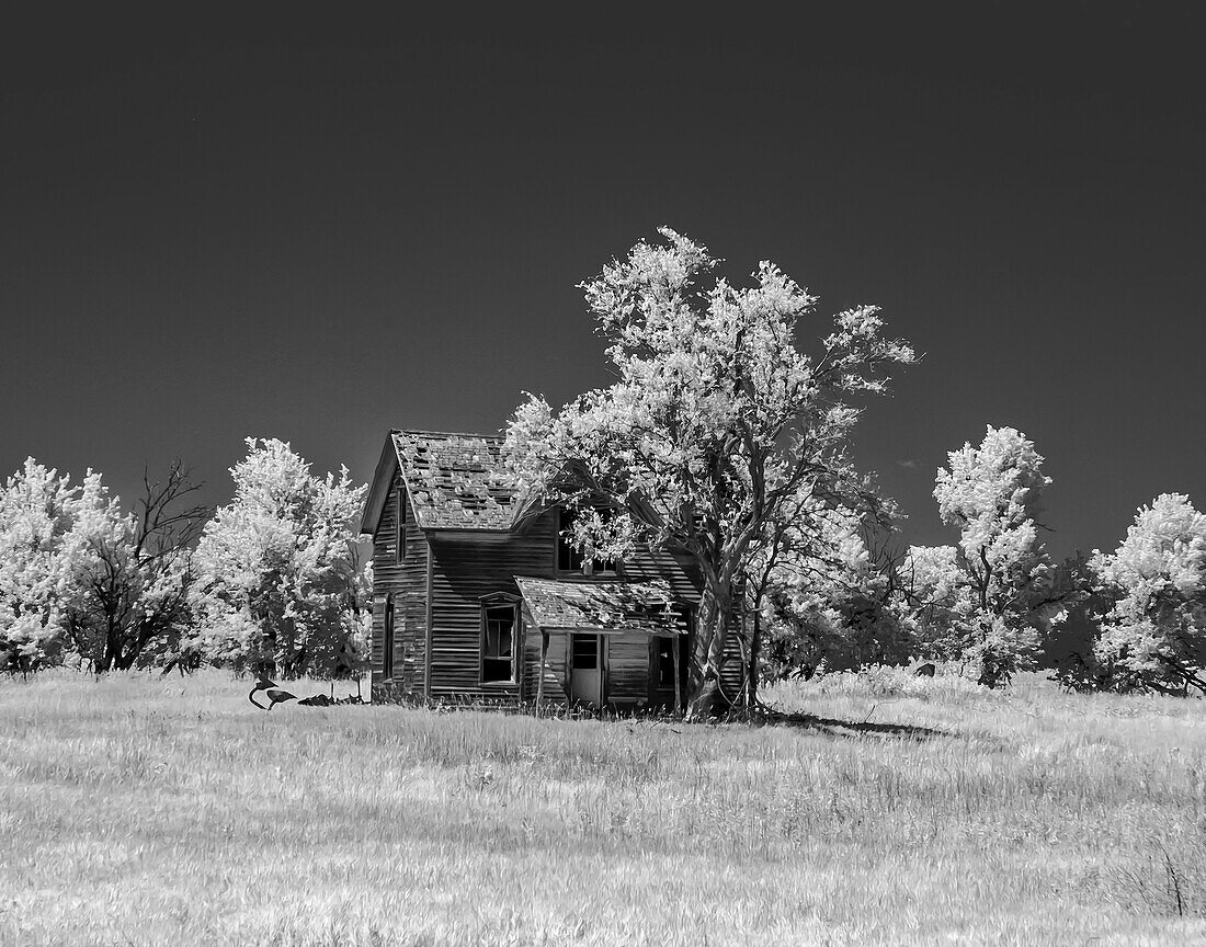 Old deserted farm house with plow