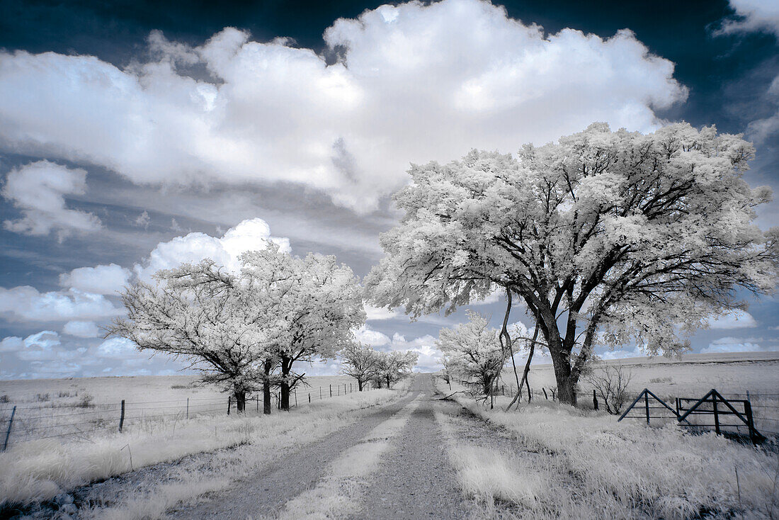 Dirt road in the Flint Hills of Kansas