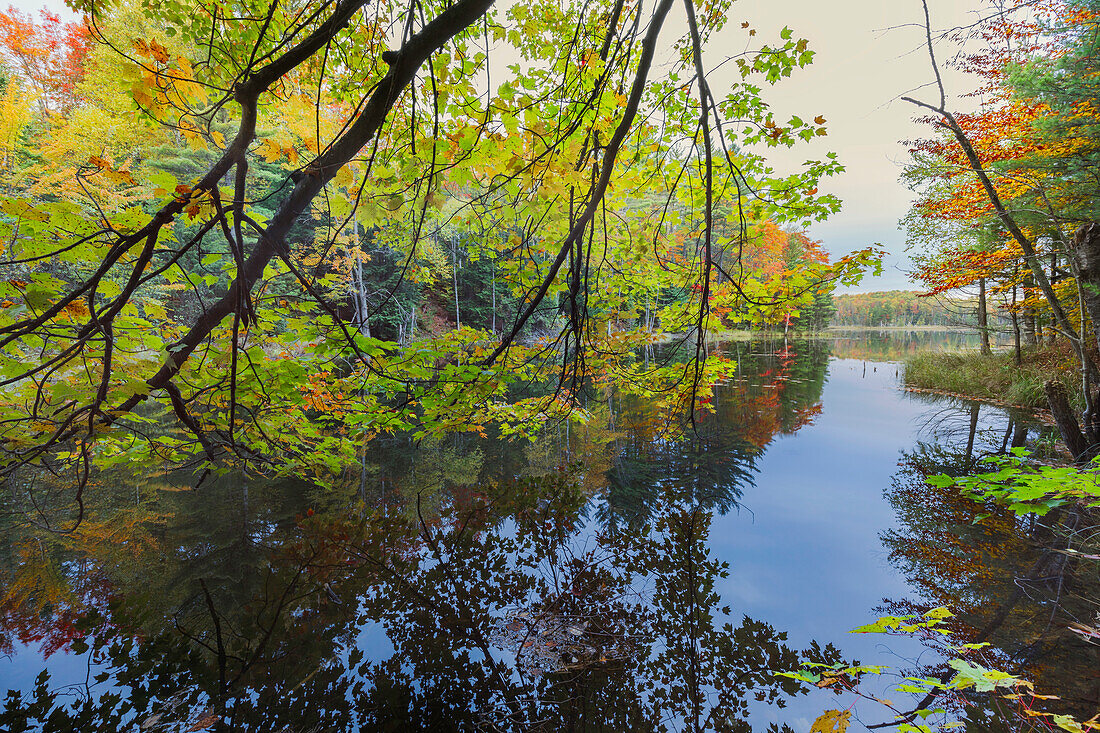 Herbstfarben und Nebelspiegelung auf dem Council Lake bei Sonnenaufgang, Hiawatha National Forest, Obere Halbinsel von Michigan.