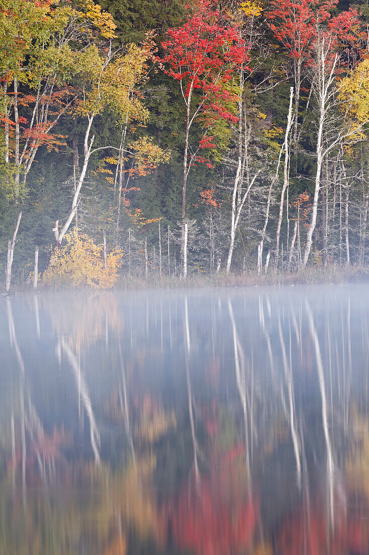 Autumn Colors and mist reflecting on Council Lake at sunrise, Hiawatha National Forest, Upper Peninsula of Michigan.