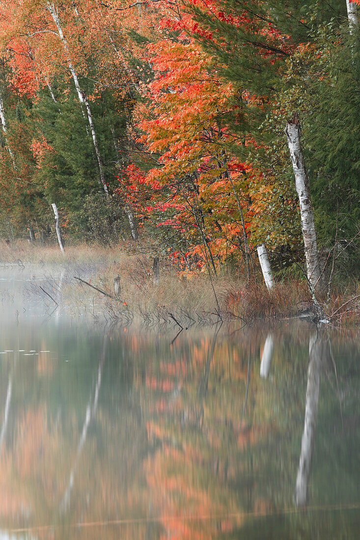 Herbstfarben und Nebel, die sich im Council Lake bei Sonnenaufgang spiegeln, Hiawatha National Forest, Obere Halbinsel von Michigan.