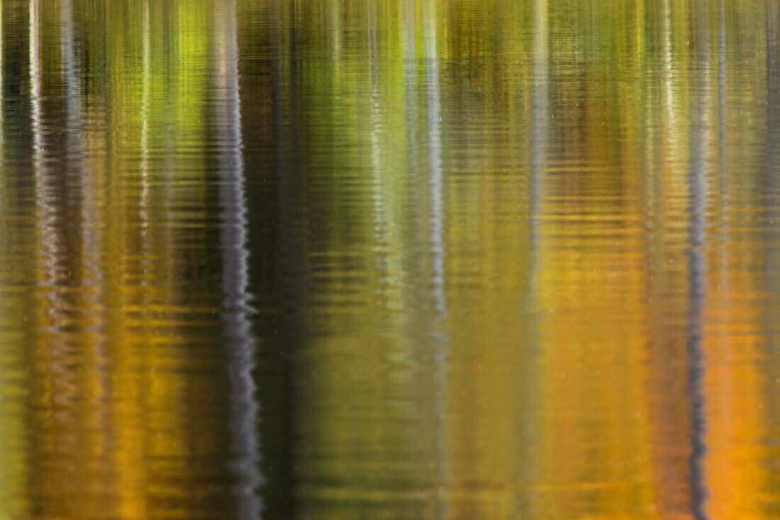Die Herbstfarben spiegeln sich im Irwin Lake, Hiawatha National Forest, Alger County, Obere Halbinsel von Michigan.