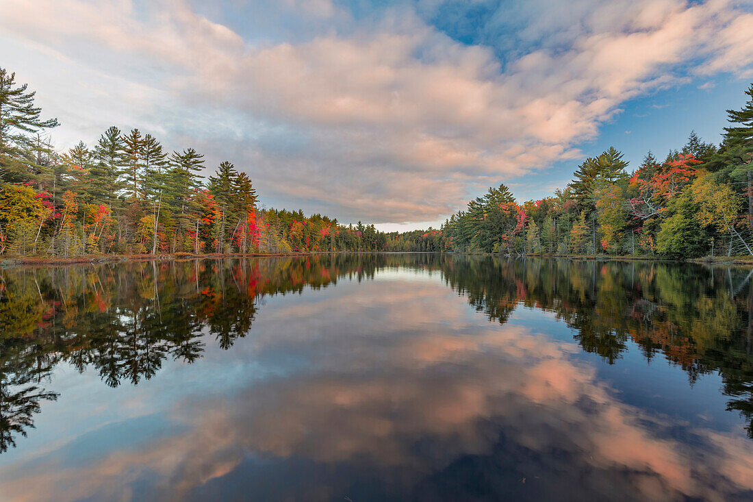 Fall colors on shoreline of Irwin Lake, Hiawatha National Forest, Alger County, Upper Peninsula of Michigan.