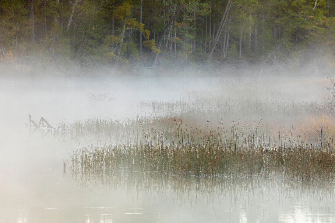 Tahquamenon River at sunrise, near Paradise, Michigan, Upper Peninsula.