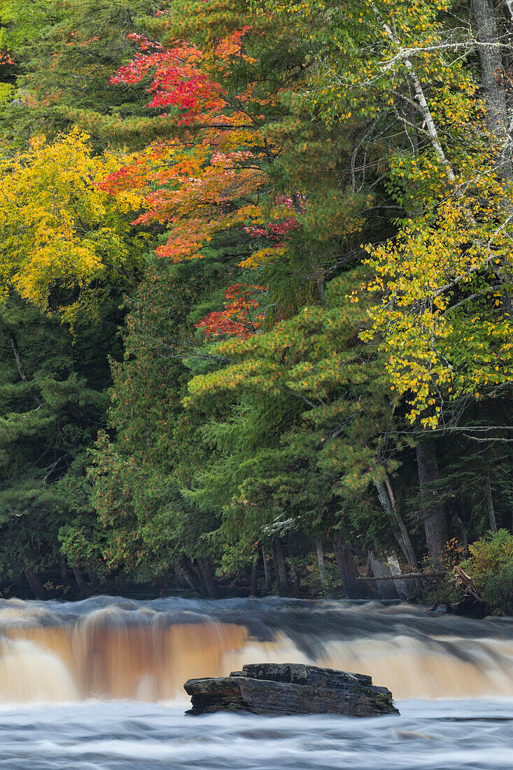 Kaskade am unteren Abschnitt der Tahquamenon Falls, Tahquamenon Falls State Park, Obere Halbinsel, Michigan