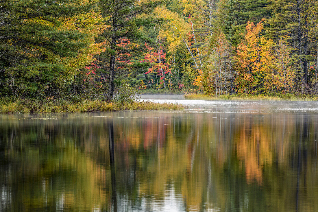 Herbstfarben entlang des Ufers des Council Lake, Hiawatha National Forest, Obere Halbinsel von Michigan.