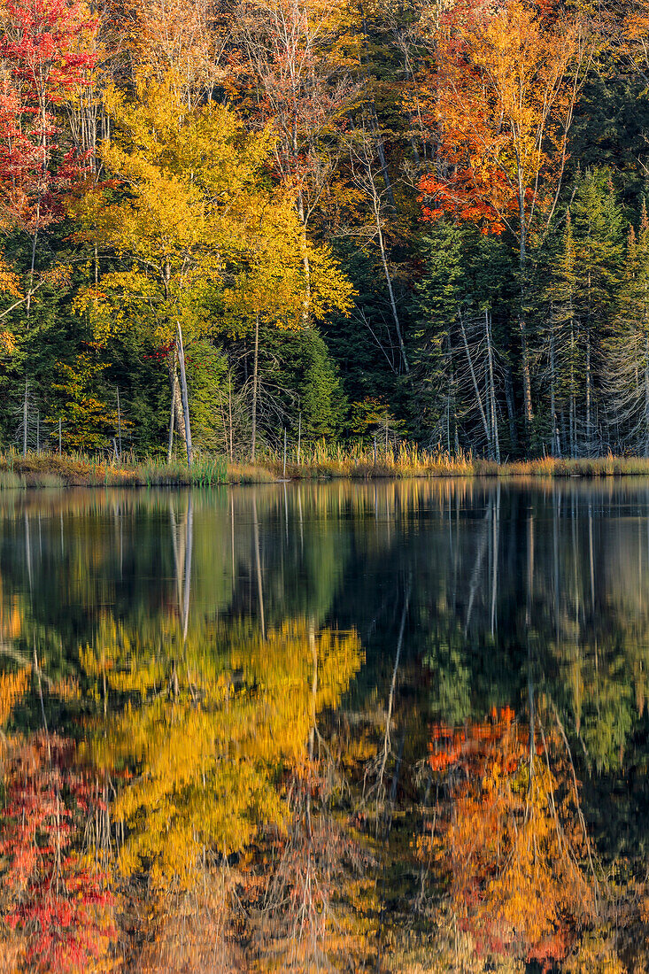 Herbstliche Reflexion, Obere Halbinsel von Michigan