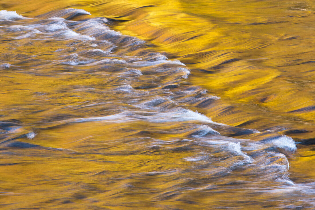 Golden light reflects off the Presque Isle River, Wisconsin.