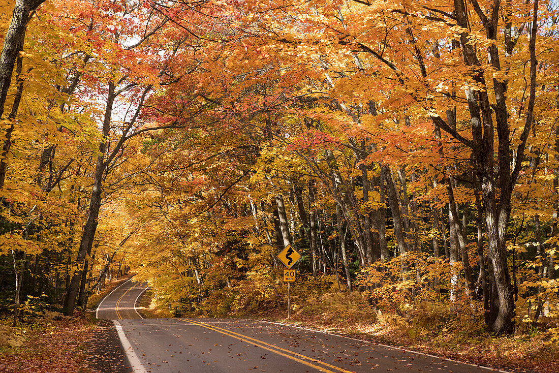 USA, Michigan, Sonnenlicht strömt durch die Herbstbäume entlang einer Landstraße auf der Keweenaw-Halbinsel.