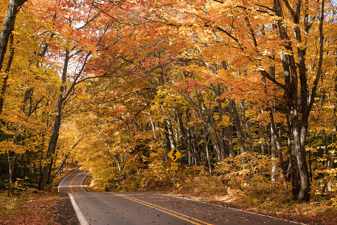 USA, Michigan, Sunlight streams through autumn trees along a country road in the Keweenaw Peninsula.