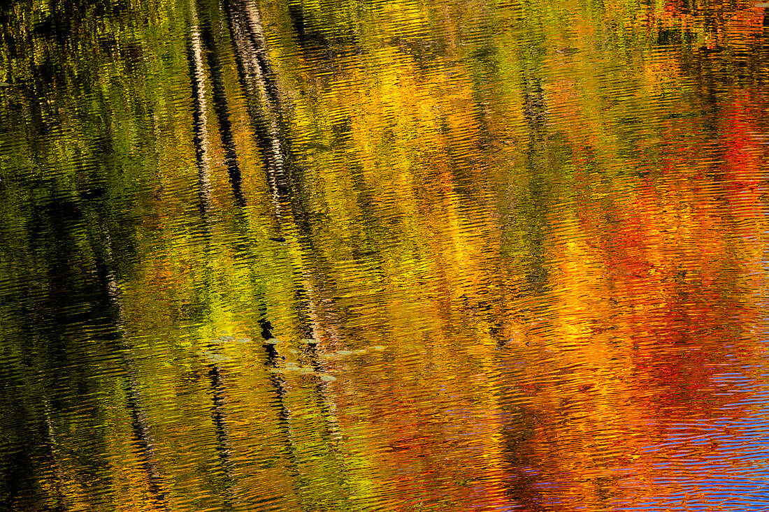 Autumn hues reflect into the Dead River near Marquette, Michigan USA