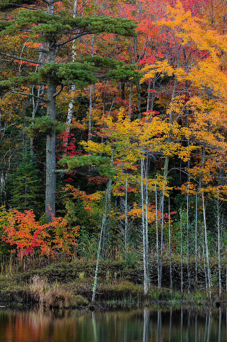 Kleiner See mit Herbstfärbung in der Nähe von Marquette, Michigan USA