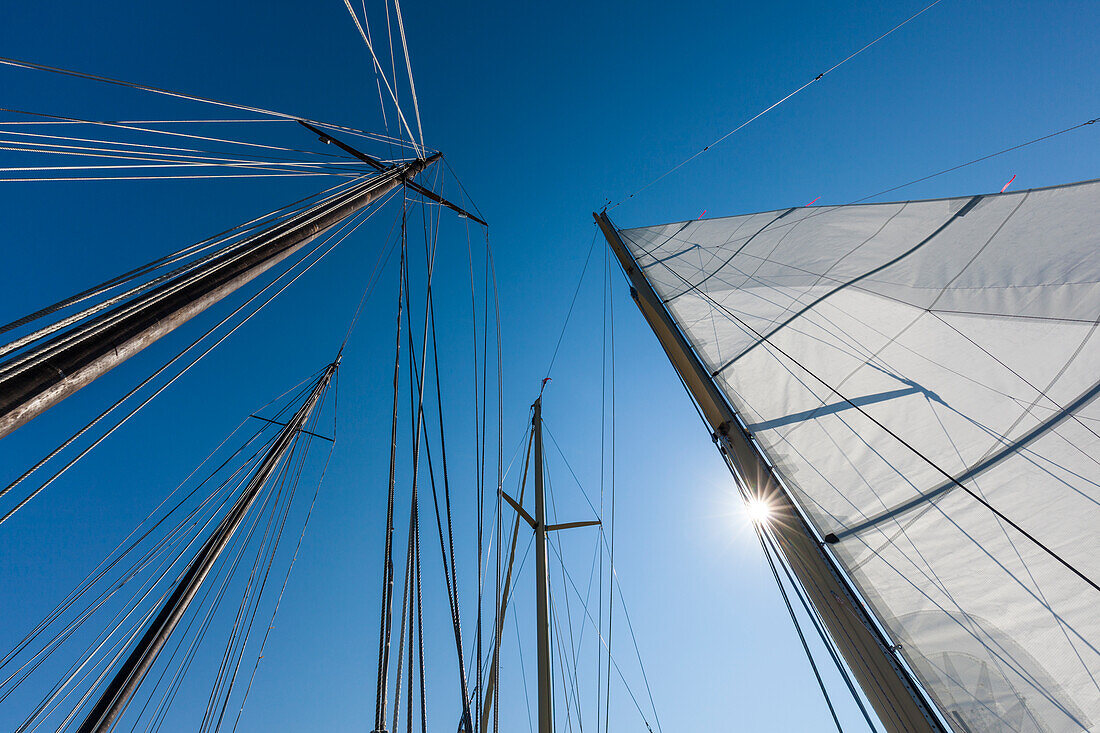 USA, Massachusetts, Cape Ann, Gloucester, America's Oldest Seaport, Gloucester Schooner Festival, schooner sails