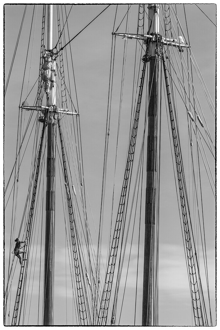 USA, New England, Massachusetts, Cape Ann, Gloucester, Gloucester Schooner Festival, schooner masts