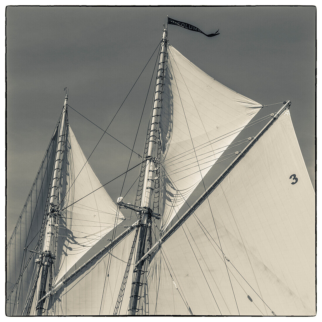 USA, New England, Massachusetts, Cape Ann, Gloucester, Gloucester Schooner Festival, schooner sails