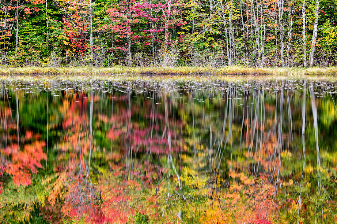 USA, Michigan, Obere Halbinsel, Thornton Lake Reflexionen