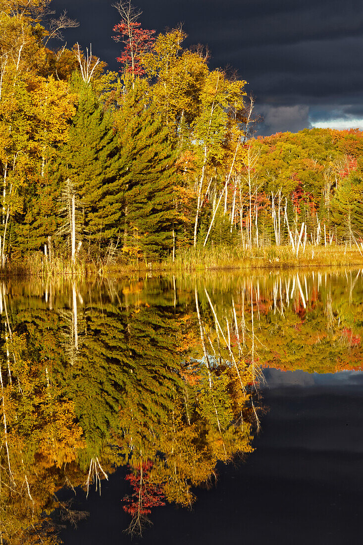 Shoreline of Red Jack Lake at sunrise, Hiawatha National Forest, Upper Peninsula of Michigan.