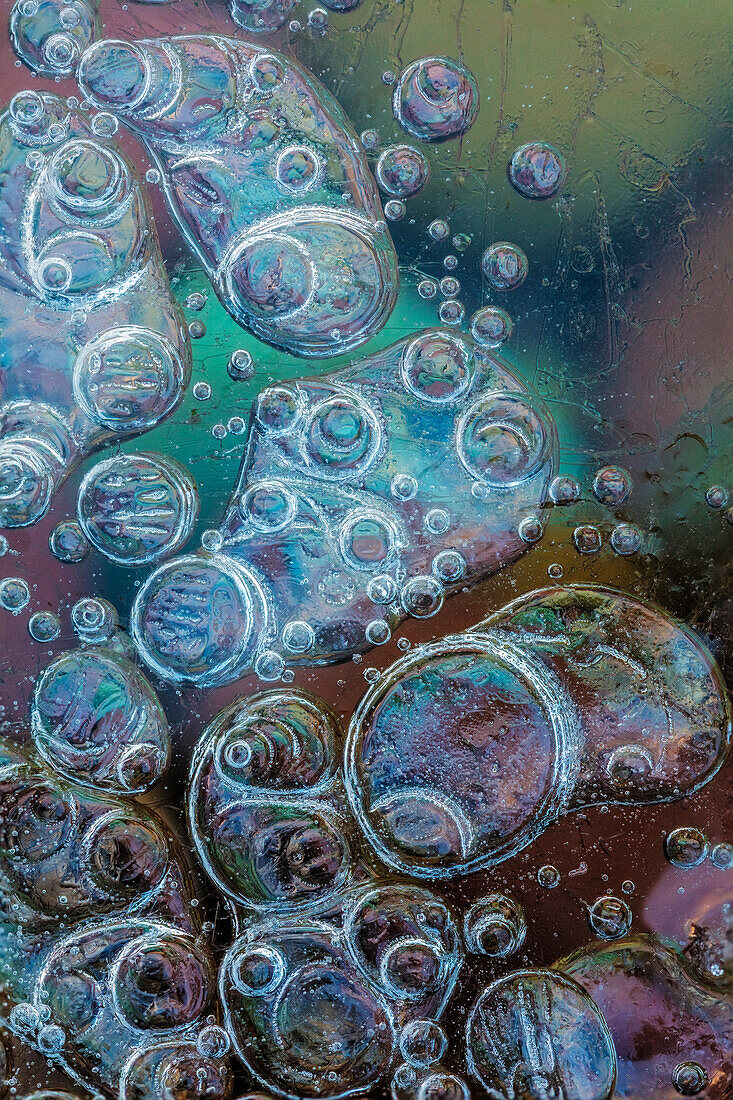Macro of bubbles forming under ice along the edge of Lake McDonald in Glacier National Park, Montana, USA