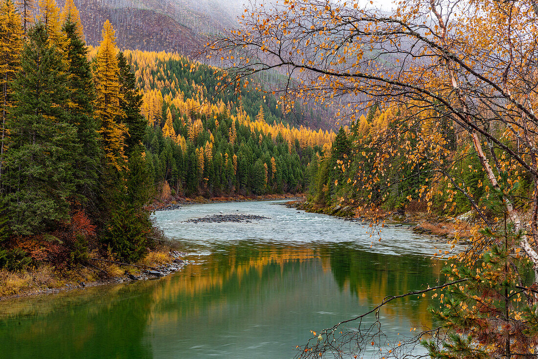 North Fork of the Flathead River in autumn in Glacier National Park, Montana, USA