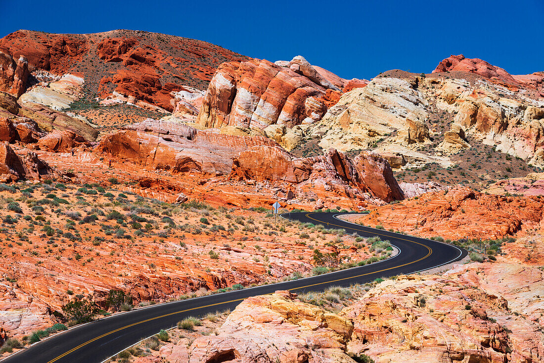 Die Parkstraße schlängelt sich durch bunten Sandstein (Wanderer sichtbar), Valley of Fire State Park, Nevada, USA.
