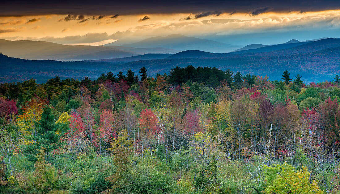 Herbstfarben in den White Mountains, New Hampshire (Großformat verfügbar)