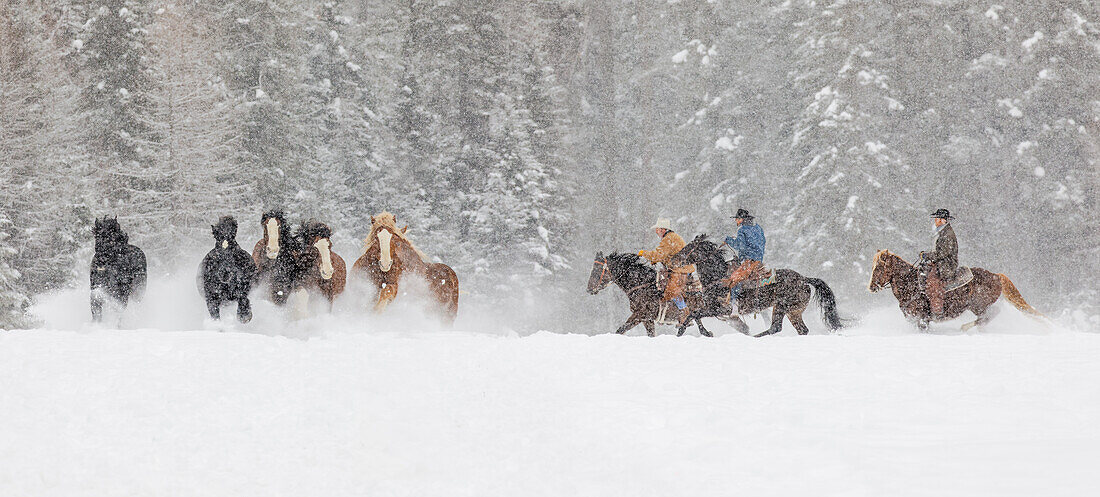Panoramablick auf Cowboys während des Wintertreibens, Kalispell, Montana