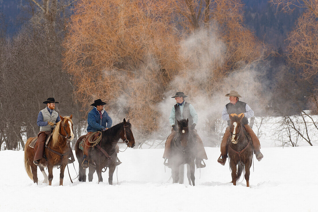 Cowboys during winter roundup, Kalispell, Montana