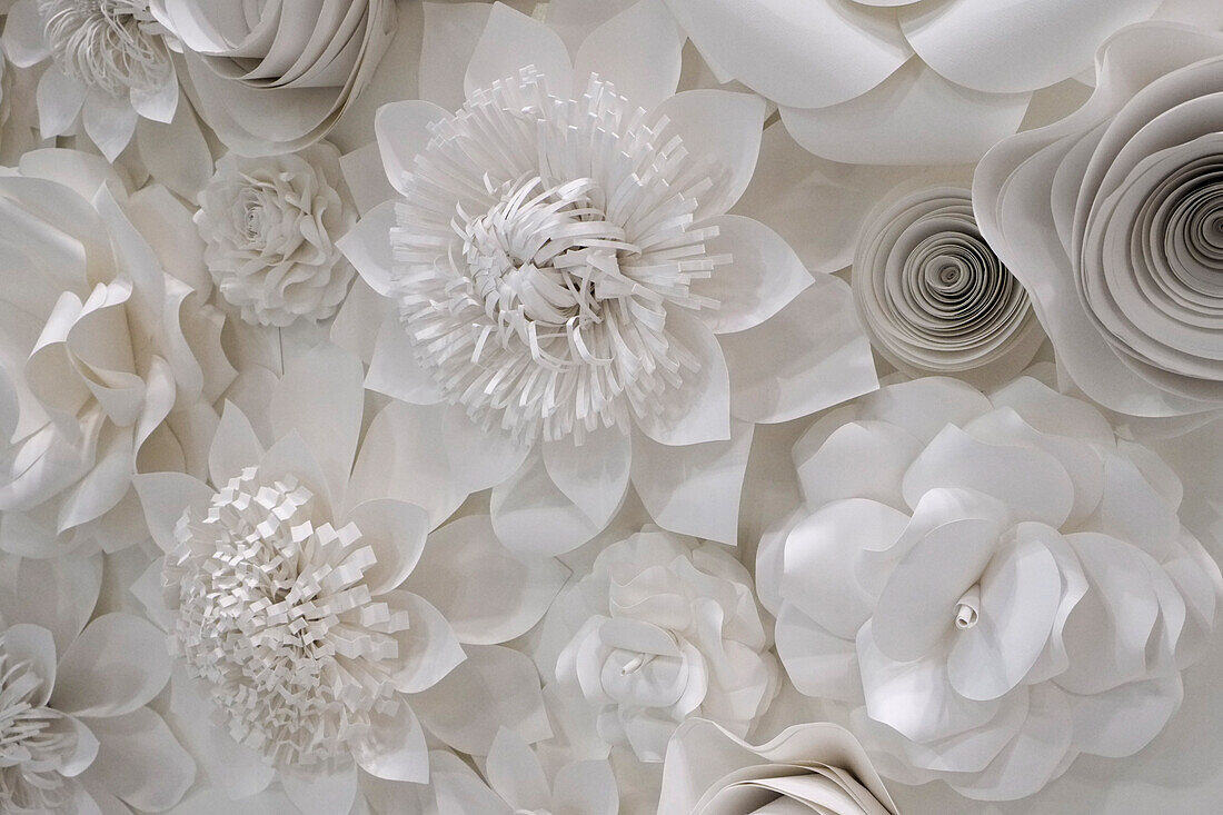 Variety of white flower designs made from cut paper. New York City, New York, USA