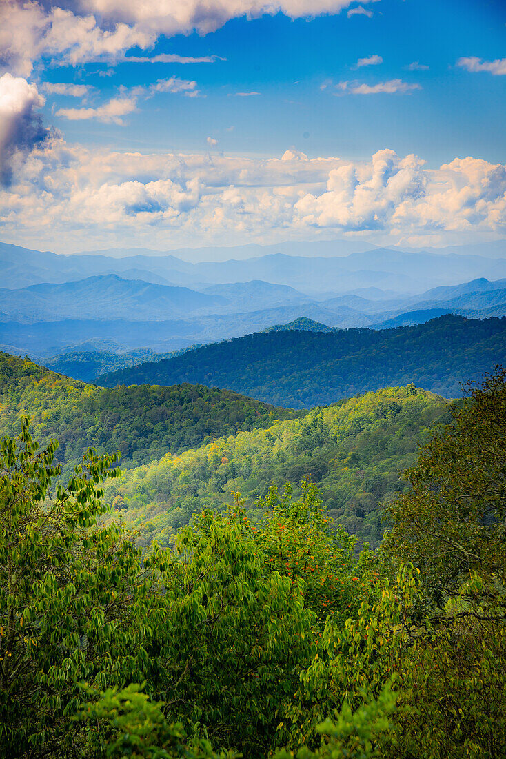 Blue Ridge Parkway vista, Smoky Mountains, USA.