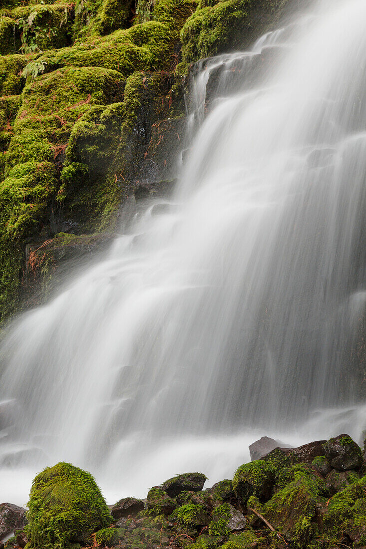 White Branch Falls, Oregon Cascades, Oregon