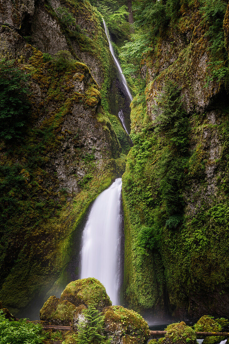 Wahclella Falls along Tanner Creek, Columbia River Gorge, Oregon