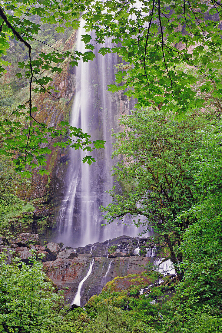 Silver Falls, Golden and Silver Falls State Natural Area, Oregon